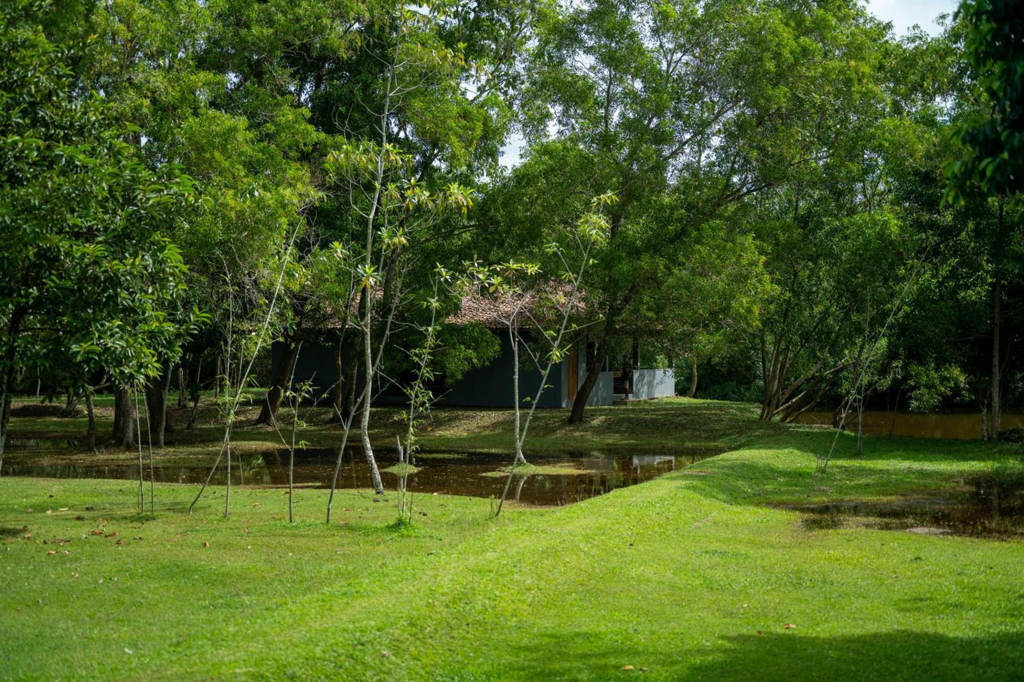Wirdana Resort & Spa Bussa Exteriér fotografie
