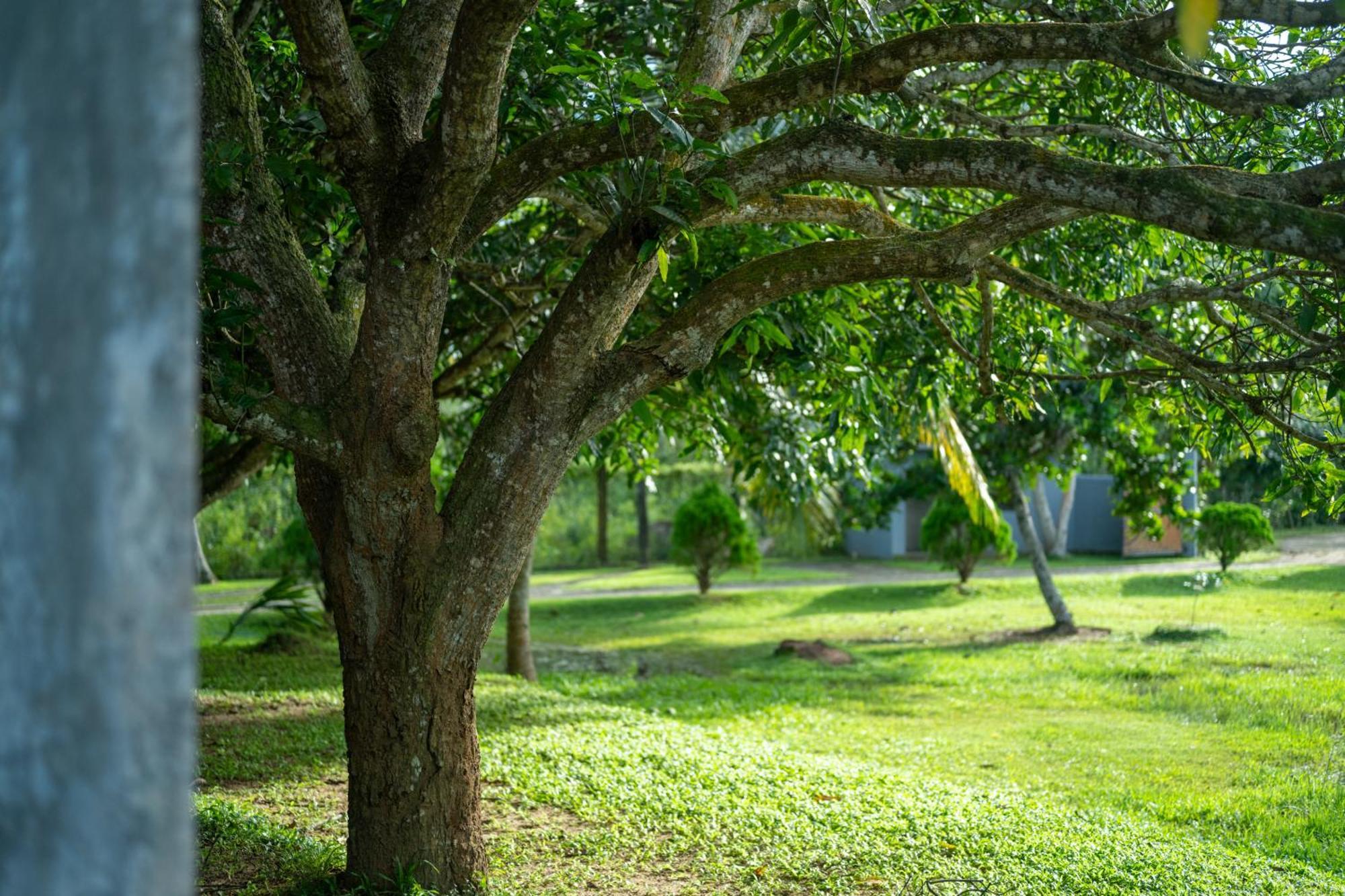 Wirdana Resort & Spa Bussa Exteriér fotografie